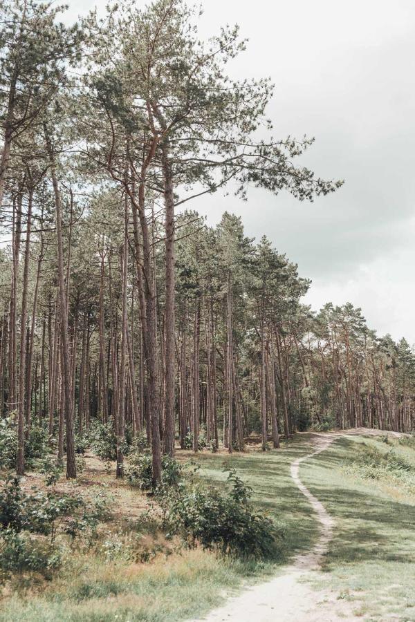 Boshuisje Op De Veluwe Nunspeet Exterior foto