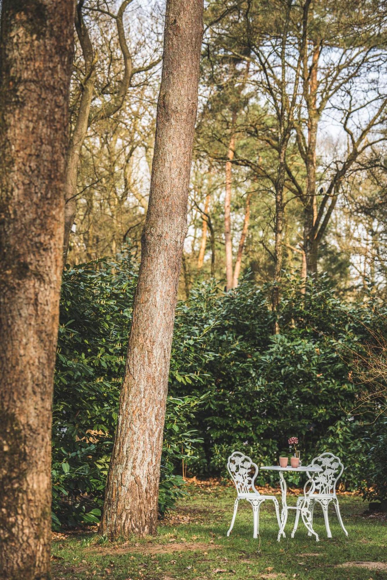 Boshuisje Op De Veluwe Nunspeet Exterior foto